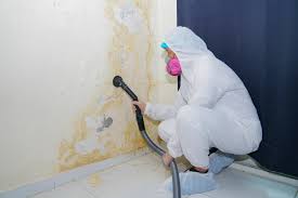 Mold Removal for HVAC Installations in Clarence, IA